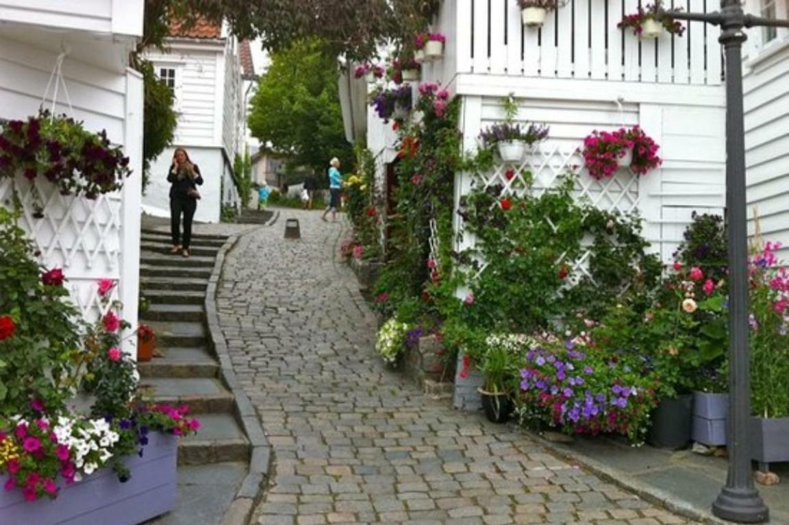 Historical Apartments In The Heart Of The Old Town Stavanger Bagian luar foto